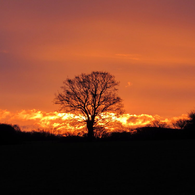 Sunrise at home