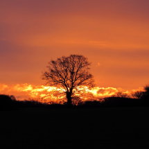 Sunrise at home