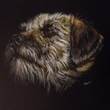 Border' Print For Sale - IMG0001 size A4 - £25 Greetings card - £2