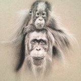 'Piggy Back' Print For Sale - IMG0029 size A4 - £25