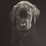 'Innocence' Framed Original For Sale - IMG0035 size A4 - £50