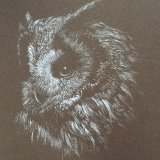 'Brown Owl' Print For Sale - IMG0044 A4 - £25
