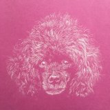 ‘Pink Poodle’ Framed Original For Sale - IMG0044 A4 - £90