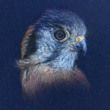 Framed Original For Sale - IMG0045 A4 - £40