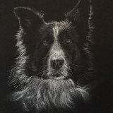 'Shepherd' Print For Sale - IMG0046 A4 - £25