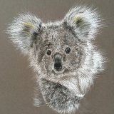 'Koala Cuddle' Framed Original For Sale - IMG0051 size A4 - £130