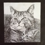 Framed Original For Sale - IMG0020 19.5cm sq - £60