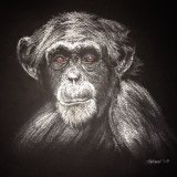 'I See You' Framed Original For Sale - IMG0015 size A3 - £80