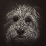 Print For Sale - IMG0003 size A3 - £35