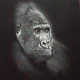 'Guy' Framed Original For Sale - IMG0017 size A3 - £70