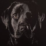 'Loyalty' Print For Sale - IMG0004 size A4 - £25 Greetings card - £2