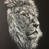 'Serenity' Print For Sale - IMG0005 size A4 - £25 Greetings card - £2