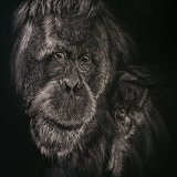 'Protection' Print For Sale - IMG0006 size A3 - £35