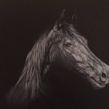 Print For Sale - IMG0007 size A3 - £35 Greetings card - £2