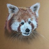 Print For Sale - IMG0009 size A3 - £35 Greetings card - £2