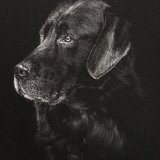 'Worldly-wise' Print For Sale - IMG0010 size A3 - £35