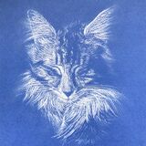 'Cat Nap' Framed Original For Sale - IMG0079 size A4 - £80