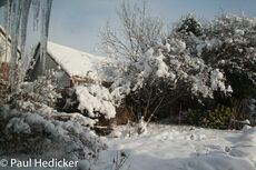 20100107 2764