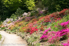 Cornwall-15