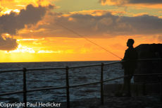 Cornwall 2010-5
