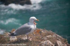 Cornwall 2011-14