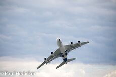 IMG 8548