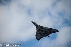 IMG 8811