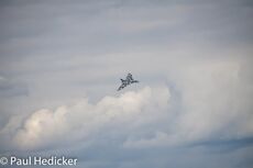 IMG 8825