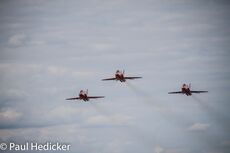 IMG 8846