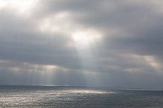 Shafts of Light