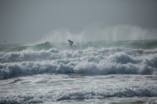 Surfer