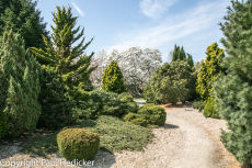 Exbury-18