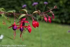 Exbury-25