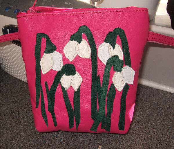 Snow Drop Bag