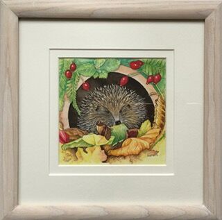 Hedgehog