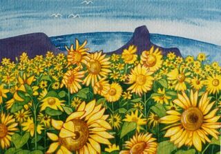 Rhossili Sunflowers