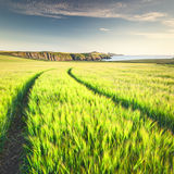 Coastal Farming North Pembrokeshire