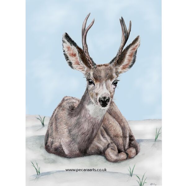 Deer in the snow