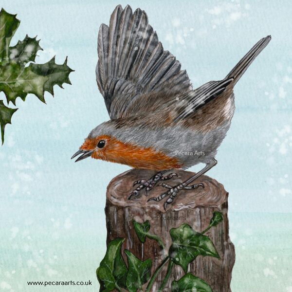 Festive Robin