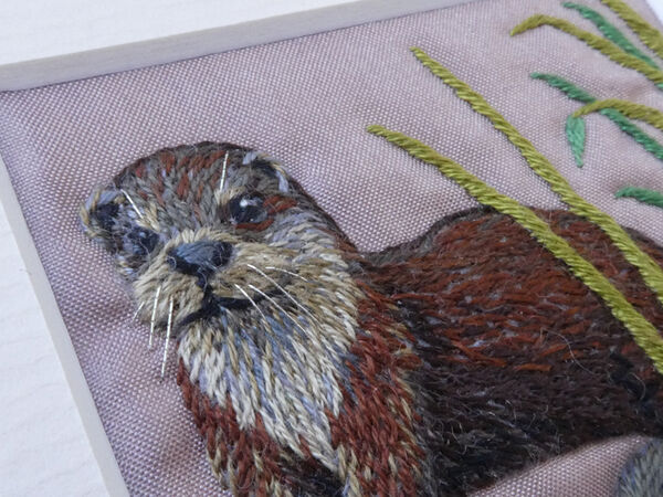 Otter - Lutra Lutra - Dwrgi