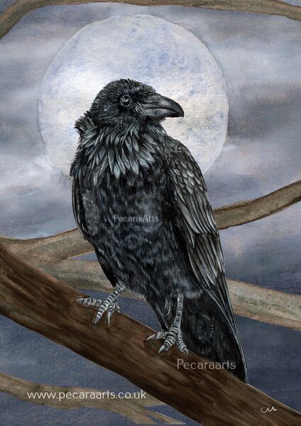 Raven In Moonlight