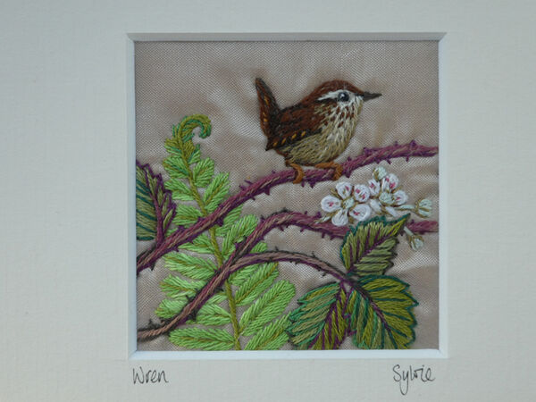 Wren in springtime