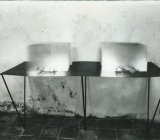 Cento vetri