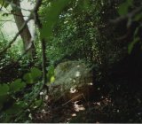SEMIFONTE PARCO DI EREDITA’ PAESAGGISTICA di Evelien La Sud