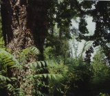 SEMIFONTE PARCO DI EREDITA’ PAESAGGISTICA di Evelien La Sud