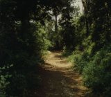 SEMIFONTE PARCO DI EREDITA’ PAESAGGISTICA di Evelien La Sud