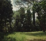 SEMIFONTE PARCO DI EREDITA’ PAESAGGISTICA di Evelien La Sud