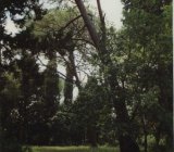 SEMIFONTE PARCO DI EREDITA’ PAESAGGISTICA di Evelien La Sud