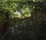 SEMIFONTE PARCO DI EREDITA’ PAESAGGISTICA di Evelien La Sud