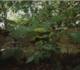 SEMIFONTE PARCO DI EREDITA’ PAESAGGISTICA di Evelien La Sud